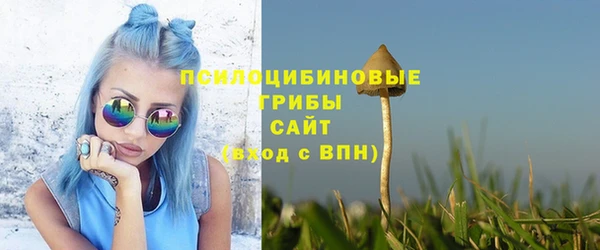 ГАЛЛЮЦИНОГЕННЫЕ ГРИБЫ Балахна