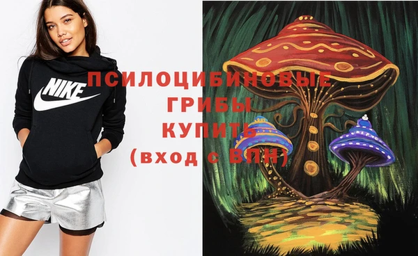 apvp Балабаново