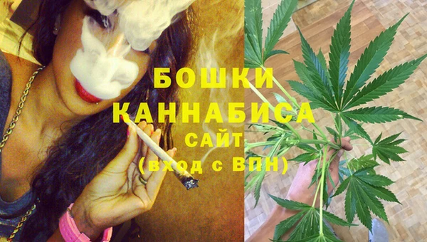 ГАЛЛЮЦИНОГЕННЫЕ ГРИБЫ Балахна
