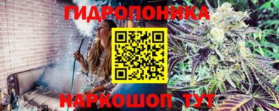 MDMA Premium VHQ Владикавказ