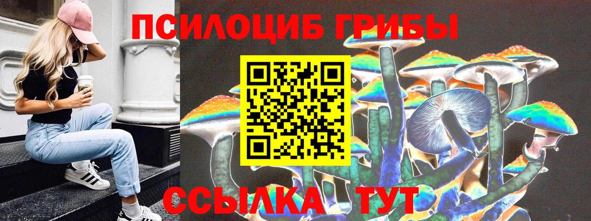 Галлюциногенные грибы Psilocybine cubensis  Вход с VPN  Галлюциногенные грибы прущие грибы  магазин продажи наркотиков  Радужный 
